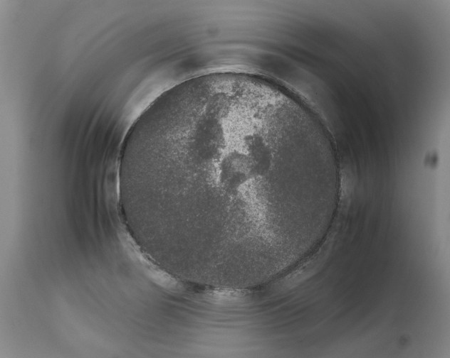 X0000113011274200909171421