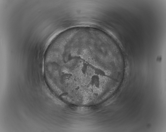 X0000113011275200909171421