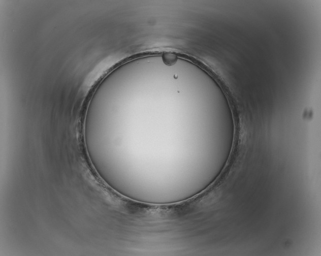 X0000113011277200909171421