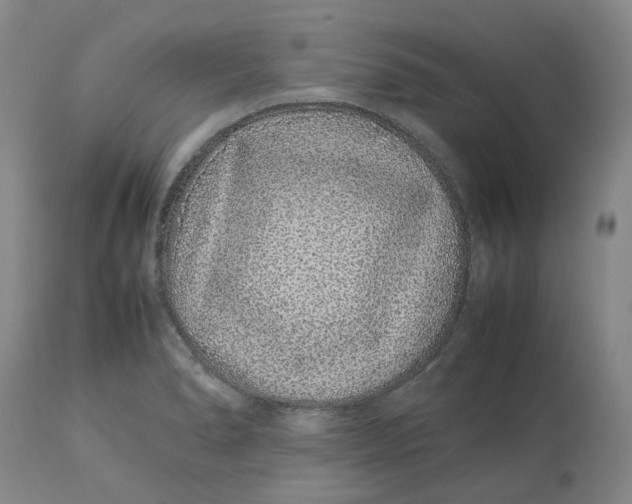 X0000113011278200909171421