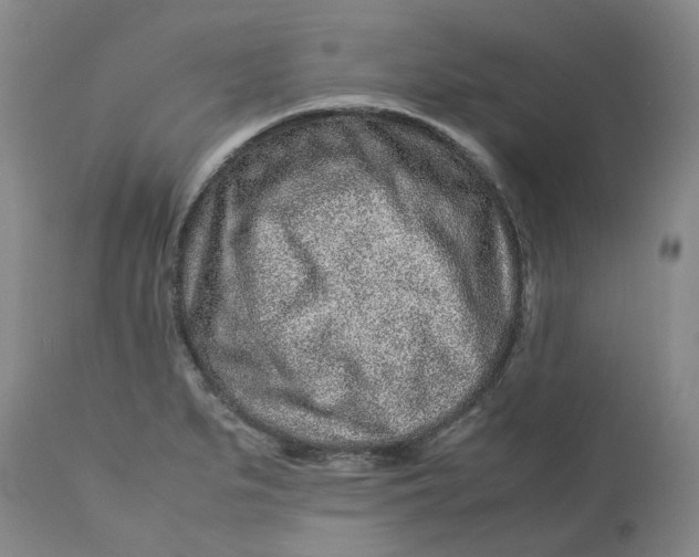 X0000113011279200909171421