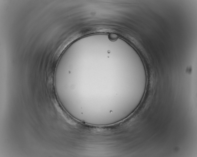 X0000113011281200909171421