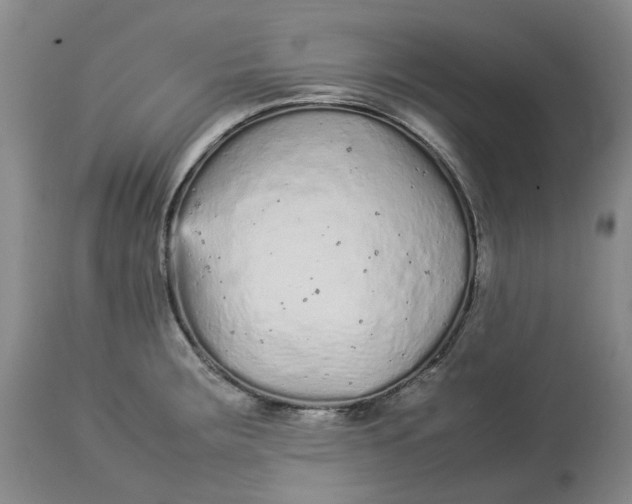 X0000113011283200909171421