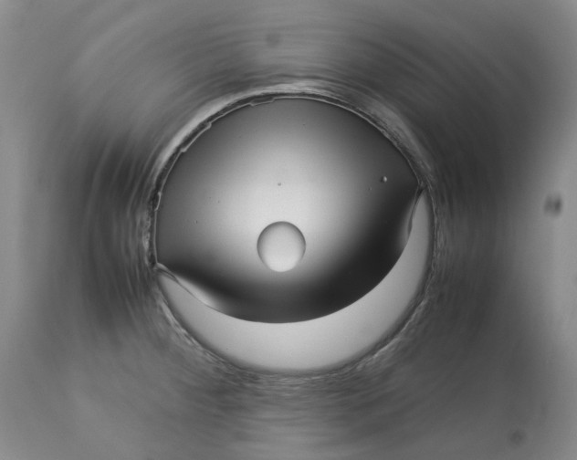 X0000113011284200909171421