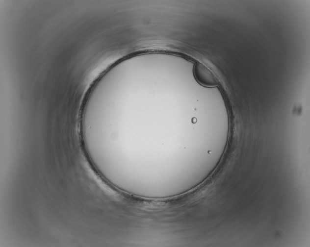 X0000113011285200909171421