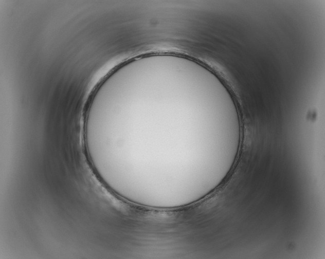 X0000113011286200909171421