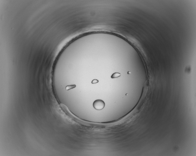 X0000113011288200909171421