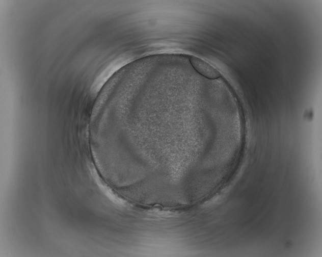 X0000113011289200909171421