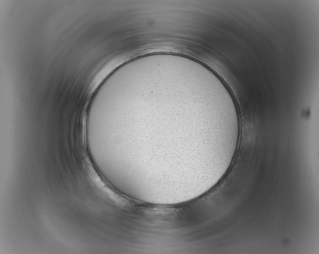 X0000113011290200909171421