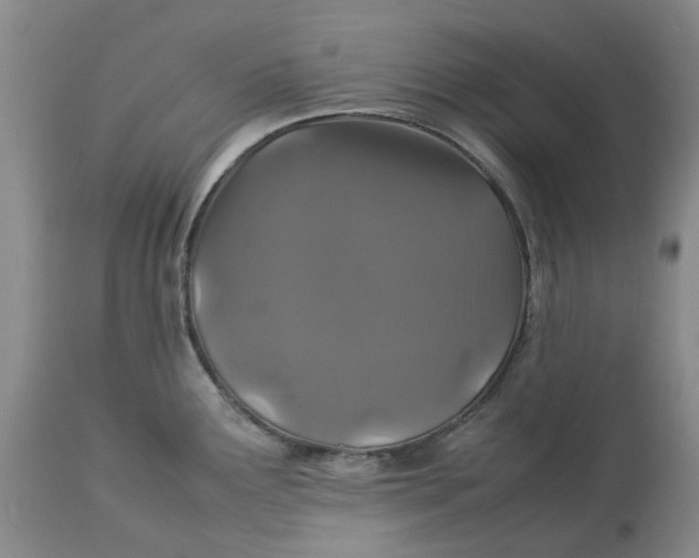 X0000113011291200909171421