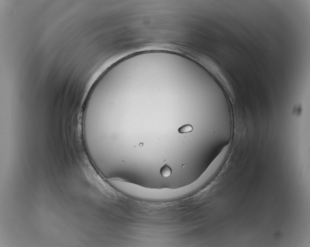 X0000113011292200909171421