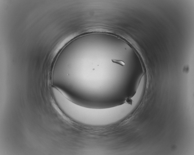 X0000113011293200909171421