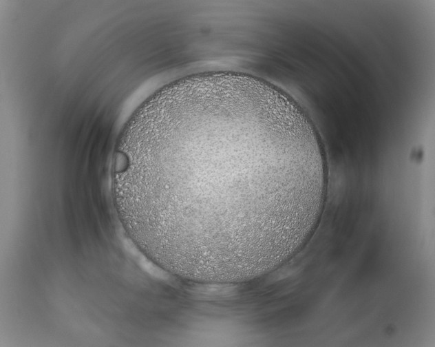 X0000113011294200909171421