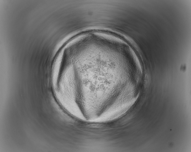 X0000113011295200909171420