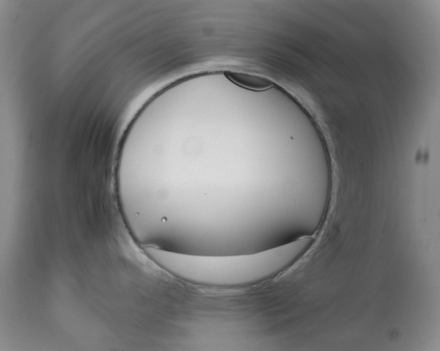 X0000113011296200909171420