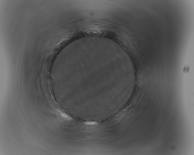 X0000113011297200909171420