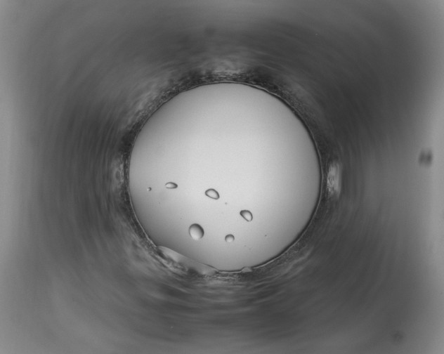 X0000113011299200909171420