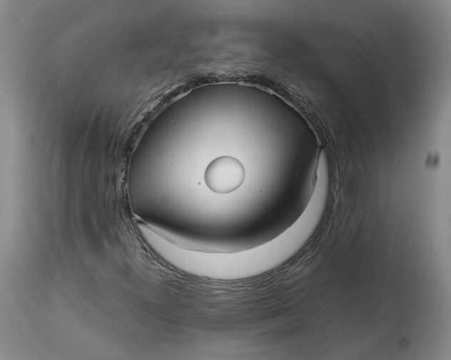 X0000113011300200909171420