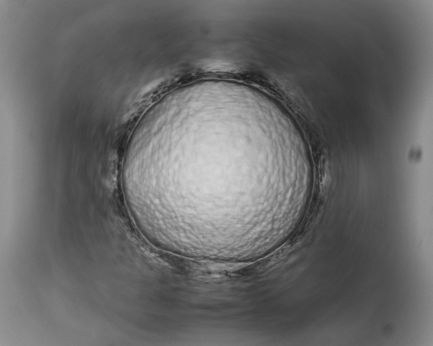 X0000113011301200909171420