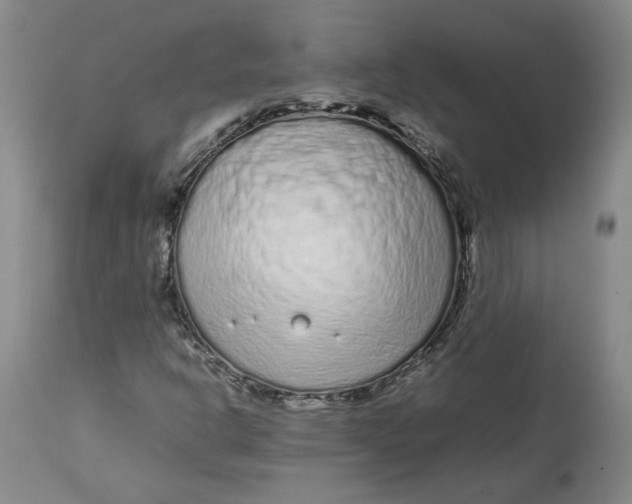 X0000113011302200909171420