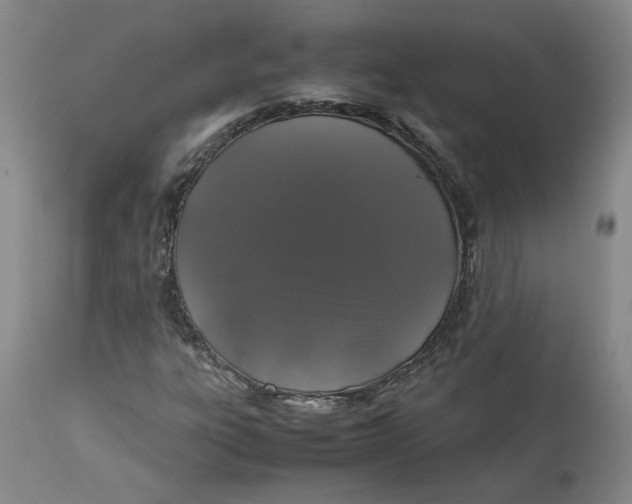 X0000113011303200909171420