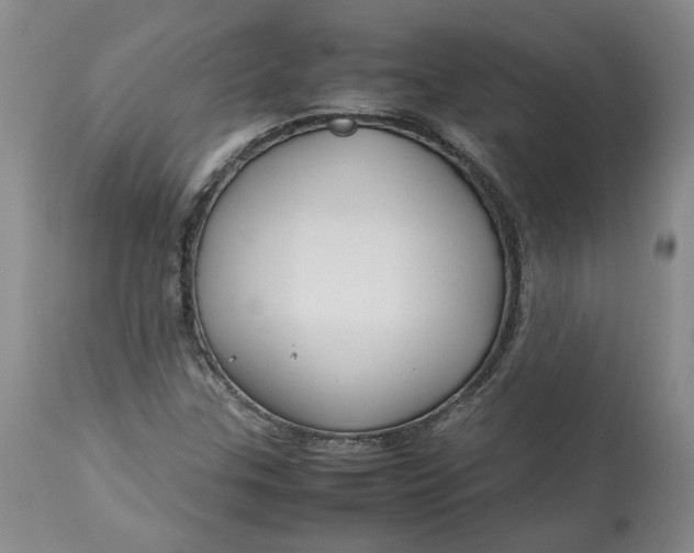 X0000113011307200909171420