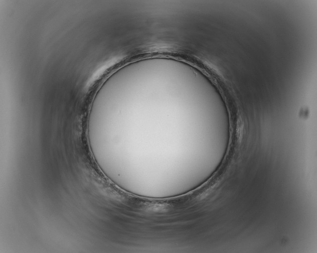 X0000113011309200909171420