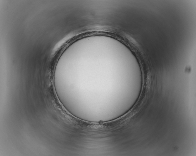 X0000113011310200909171420