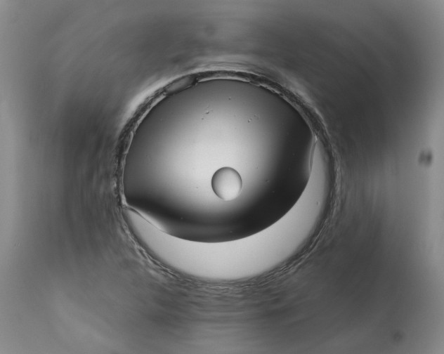 X0000113011312200909171420