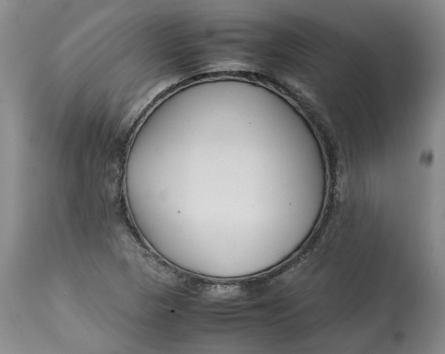 X0000113011313200909171420