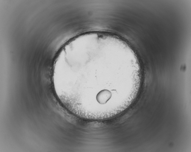 X0000113011314200909171420