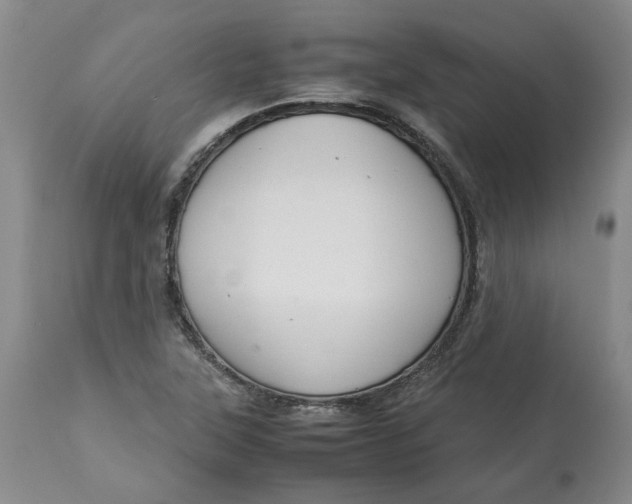 X0000113011315200909171420