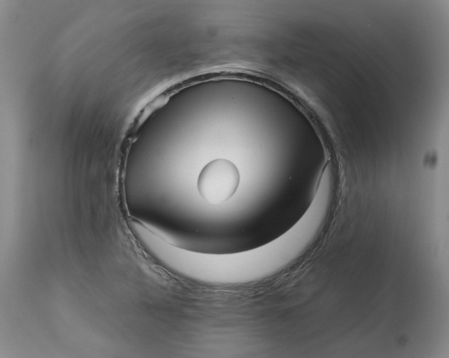 X0000113011316200909171420