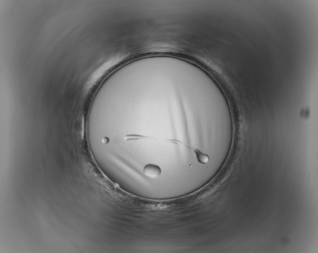 X0000113011317200909171420