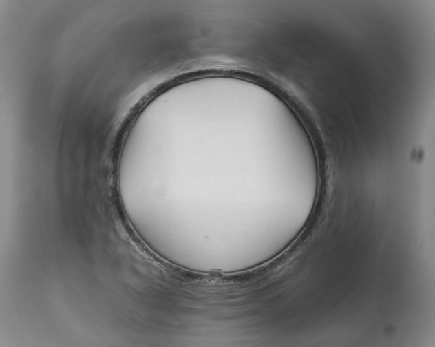 X0000113011318200909171420