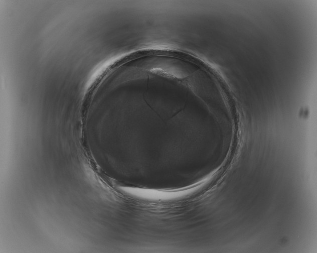 X0000113011319200909171420