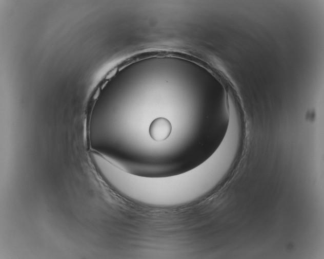 X0000113011320200909171420