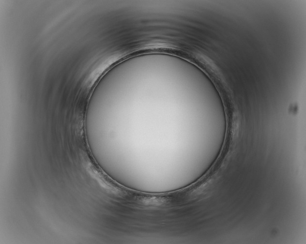 X0000113011321200909171420