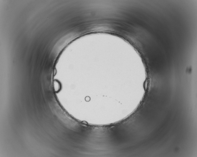 X0000113011322200909171420