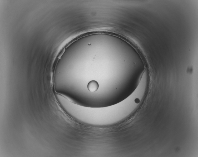 X0000113011324200909171420