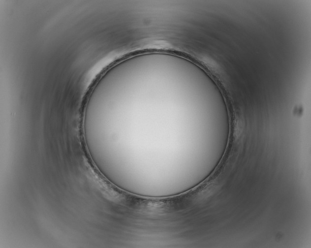 X0000113011326200909171420