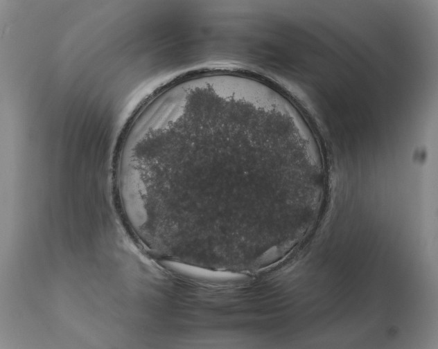 X0000113011327200909171420