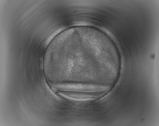 X0000113011329200909171420