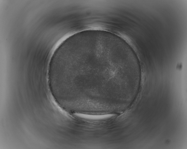 X0000113011331200909171420