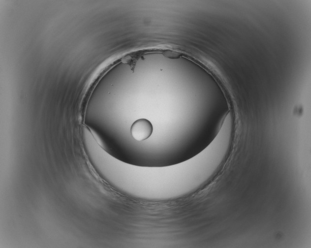 X0000113011332200909171420