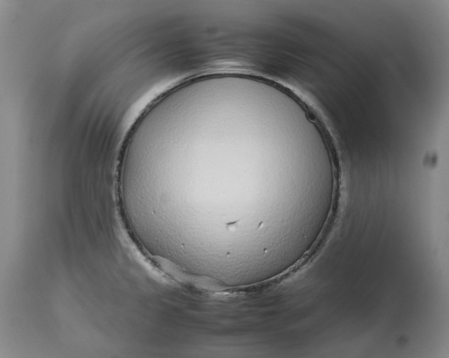 X0000113011333200909171420