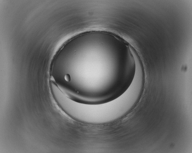 X0000113011334200909171420