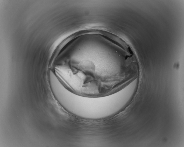 X0000113011336200909171420