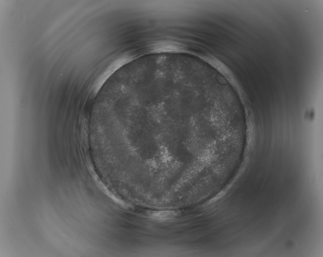 X0000113011337200909171420