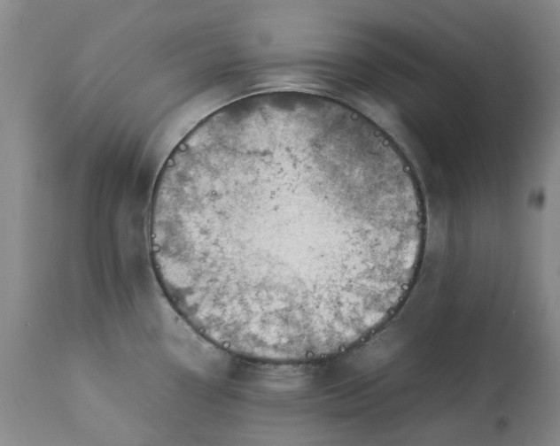 X0000113011338200909171420